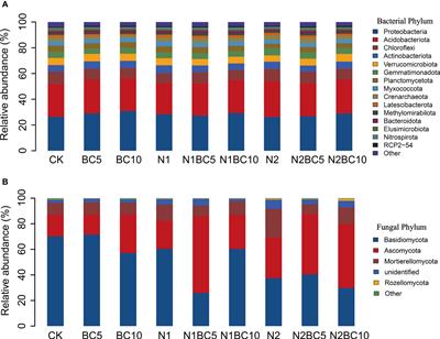 The responses of soil microbial characteristics to nitrogen addition and biochar amendment in a Larix kaempferi plantation